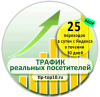 25 переходов в сутки с яндекса