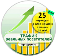 25 переходов в сутки с яндекса