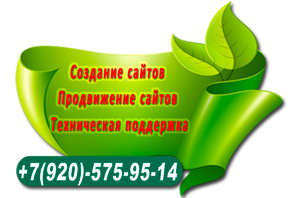 seo раскрутка в топ-10