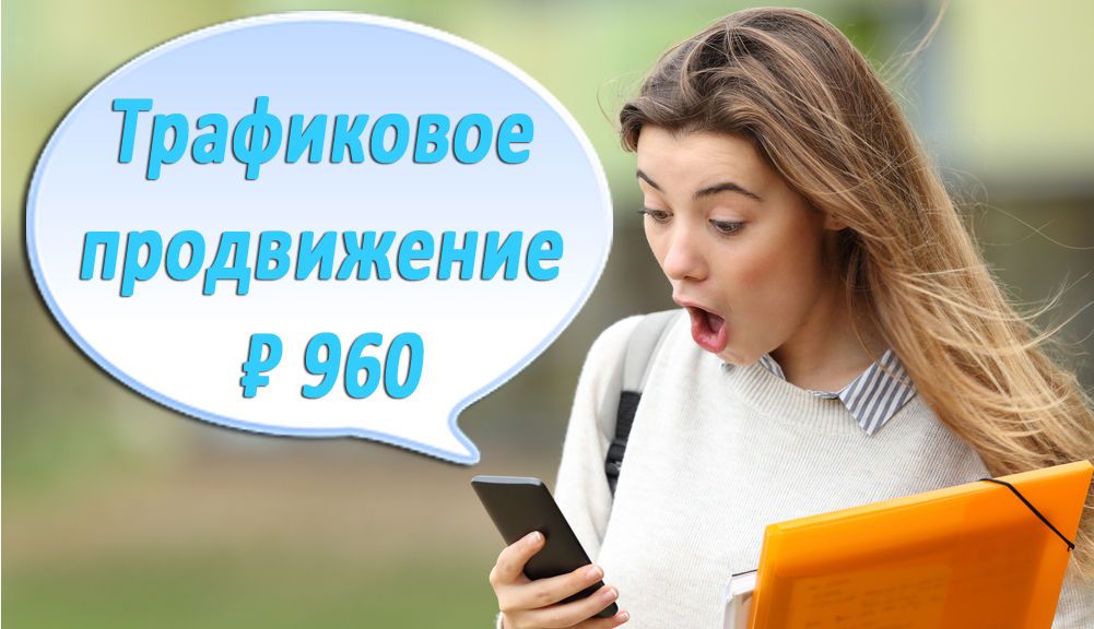 продвижение сайта в москве 2455 рублей