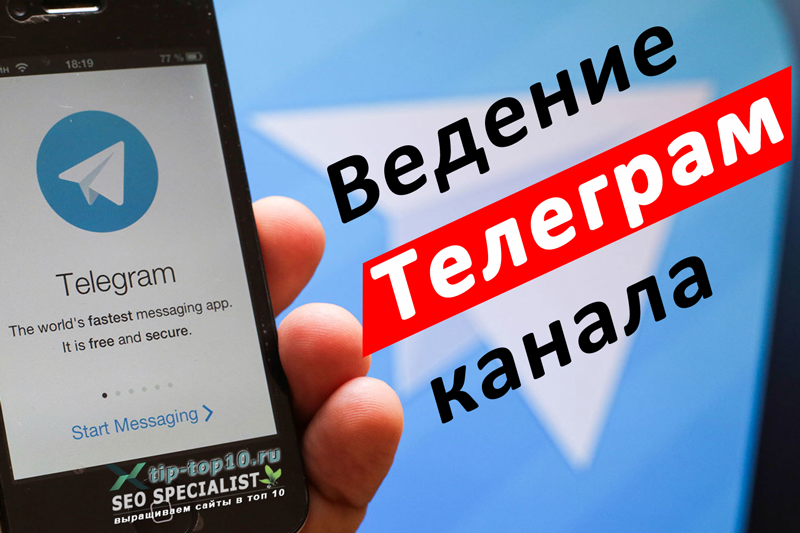 Ведение Телеграм канала Продвижение сайтов TipTop10 Ведение Телеграм канала