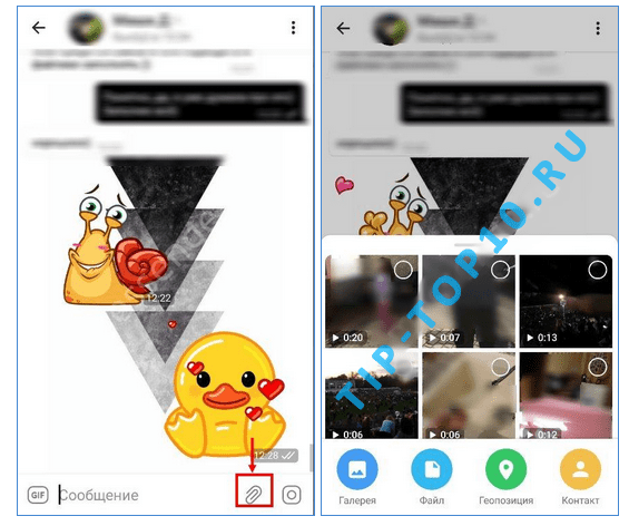 Как создавать свои собственные GIFфайлы в Telegram Продвижение сайтов TipTop10 Как создавать свои собственные GIF файлы в Telegram