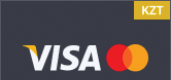 viza kz